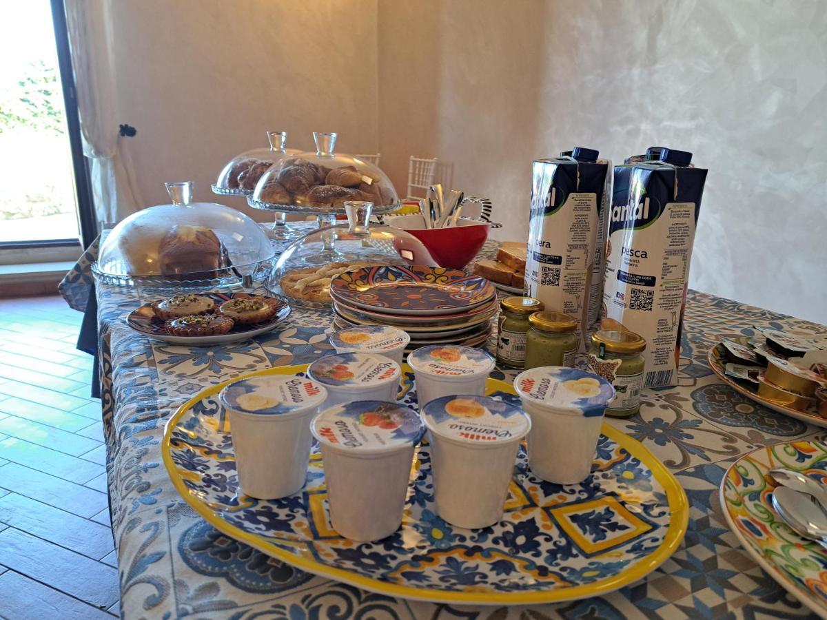 Tenuta Costa 팔마 디 몬테치아로 외부 사진